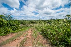 Impressive land located in the City of Altos.