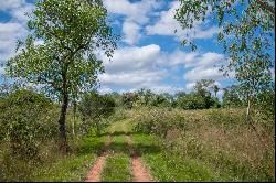 Impressive land located in the City of Altos.