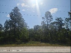 16334 Penn State Road, Weeki Wachee FL 34614