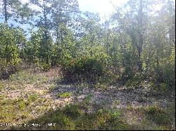 16334 Penn State Road, Weeki Wachee FL 34614