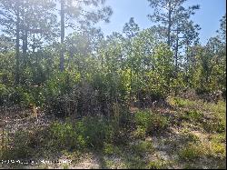 16334 Penn State Road, Weeki Wachee FL 34614