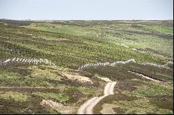 Balnacoil Estate, Brora, Sutherland, KW9 6LX