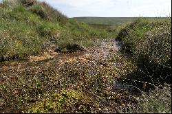 Balnacoil Estate, Brora, Sutherland, KW9 6LX