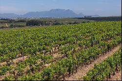 Stellenbosch Wine Farm, Vlaeberg Road, Stellenbosch, Western Cape, 7600