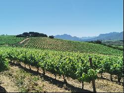 Stellenbosch Wine Farm, Vlaeberg Road, Stellenbosch, Western Cape, 7600