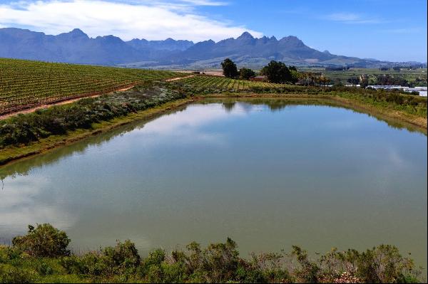 Stellenbosch Wine Farm, Vlaeberg Road, Stellenbosch, Western Cape, 7600