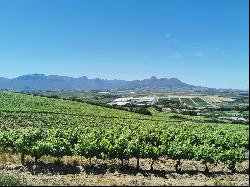 Stellenbosch Wine Farm, Vlaeberg Road, Stellenbosch, Western Cape, 7600