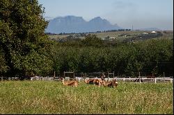 Marshden Estate, Cordoba Road, Stellenbosch, Western Cape, 7600