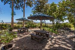 Paarl Wine Farm, Paarl Rural, Western Cape, 7646