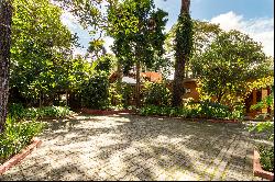 House surrounded by greenery