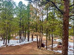 64 Mammoth Mountain Road Unit 214, Angel Fire NM 87710