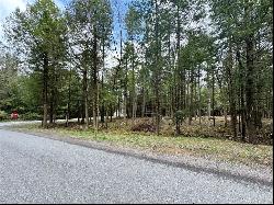 Lot 248 Peninsula Dr, Indian Lake PA 15926