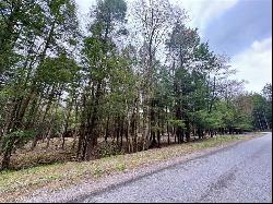 Lot 248 Peninsula Dr., Indian Lake Boro PA 15926