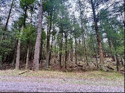 Lot 248 Peninsula Dr., Central City PA 15926