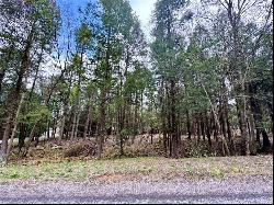 Lot 248 Peninsula Dr., Central City PA 15926