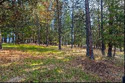 Ridgewood with views of Flathead Lake