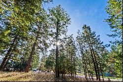 Ridgewood with views of Flathead Lake