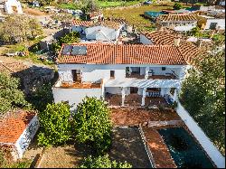 House with pool and garden