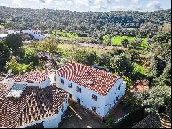 House with pool and garden