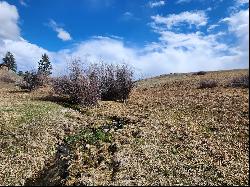 Nhn Weber Butte Trail