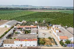 Exclusive Cortijo in Carmona