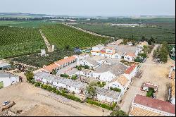 Exclusive Cortijo in Carmona