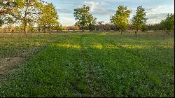 Gholson Creek Ranch 