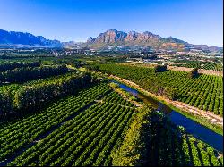 City living in the Winelands