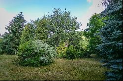 Building plot with fully grown garden, Nespeky - Benešov ID: 0792