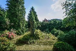 Building plot with fully grown garden, Nespeky - Benešov ID: 0792