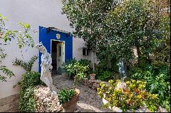 Villa with garden in El Terreno