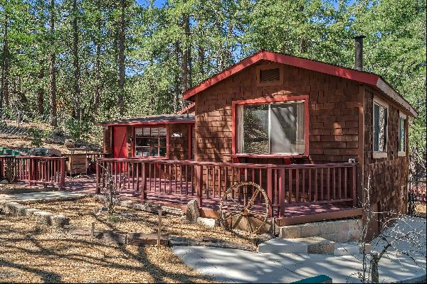 Wild Pine Cabin