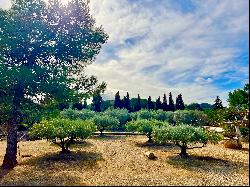 Pretty house located in a sought-after area of Saint Rémy de Provence