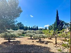 Pretty house located in a sought-after area of Saint Rémy de Provence