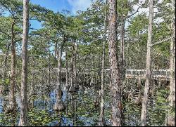 Lot 110 Cypress Walk, Santa Rosa Beach FL 32459