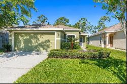 3211 Banyan Hill Lane, Land O Lakes FL 34639