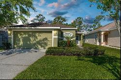 3211 Banyan Hill Lane, Land O Lakes FL 34639