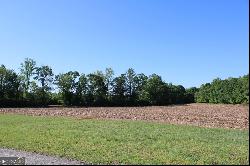 00 Runway Road #LOT 43, Lavonia GA 30553