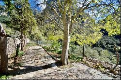 Rustic finca with charm for sale in the heart of the Tramuntana , Escorca 07315