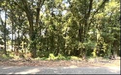 .57 Acres Riverside Drive, Dothan AL 36303