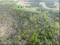 0 S State Route 555 13.230+- acres #13.230+- acres, Chesterhill OH 43728