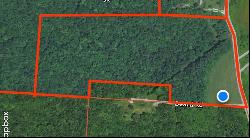 0 S State Route 555 38.316+- acres #38.316+- acres, Chesterhill OH 43728