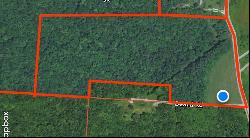 S State Route 555 38.316+- acres, Chesterhill OH 43728