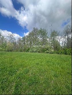 0 S State Route 555 14.093+- acres #14.093+- acres, Chesterhill OH 43728