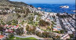 0 Tremont , Avalon, CA 90704