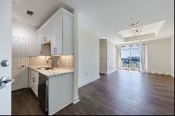 Renovated One Bedroom Condo with Unrivaled Views of the Buckhead Skyline