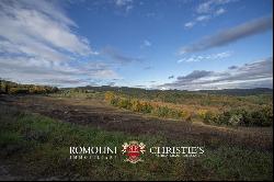 Tuscany - RUSTIC FARMHOUSE WITH HOBBY VINEYARDS FOR SALE ONE HOUR FROM THE SEA, MAREMMA