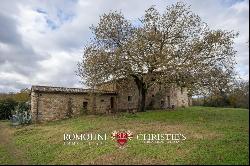 Tuscany - RUSTIC FARMHOUSE WITH HOBBY VINEYARDS FOR SALE ONE HOUR FROM THE SEA, MAREMMA