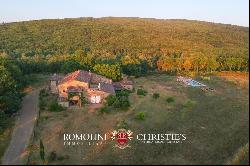 Tuscany - RUSTIC FARMHOUSE WITH HOBBY VINEYARDS FOR SALE ONE HOUR FROM THE SEA, MAREMMA