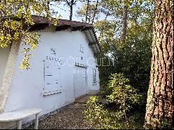 SEIGNOSSE, NEAR HOSSEGOR LAKE AND ESTAGNOTS BEACH – A PROPERTY IN AN EXTENSIVE PLOT